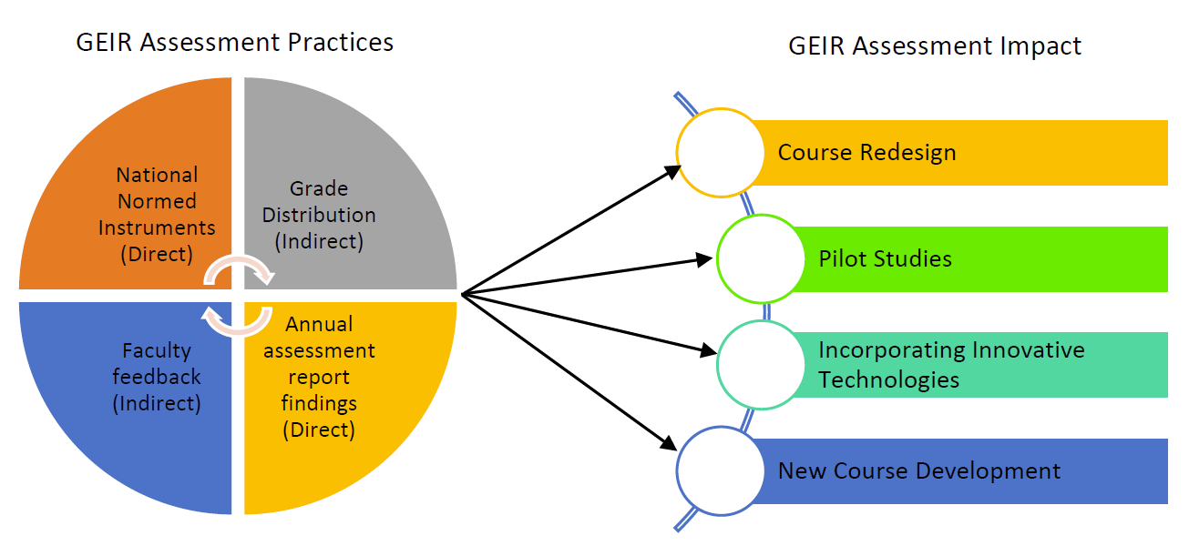 GEIR Assessment Practices and Impact