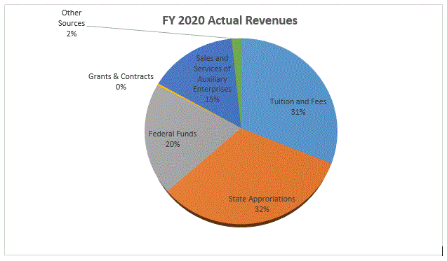 fy20 revenues (actual) chart