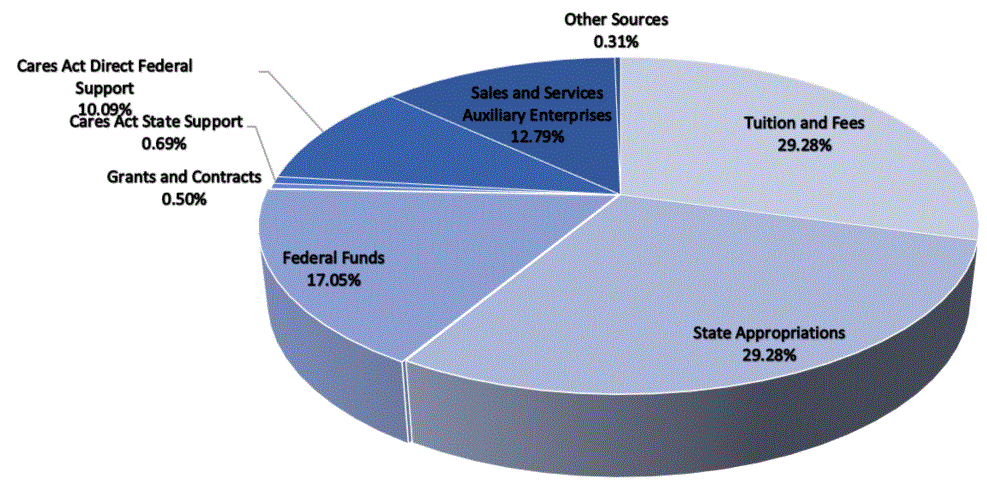 fy21 revenues (budgeted) chart