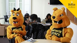 campus aerial teams background