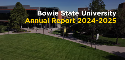 annual report cover