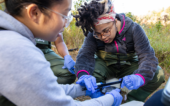 BSU Students Develop Original Research to Save Fresh Water Turtles