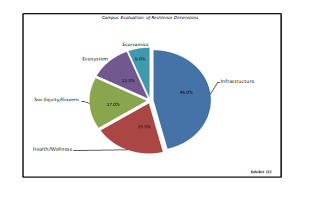 evaluation of resilience dimensions pie chart