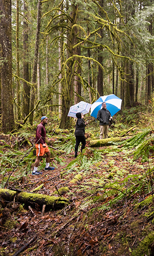 Washington Center Hike