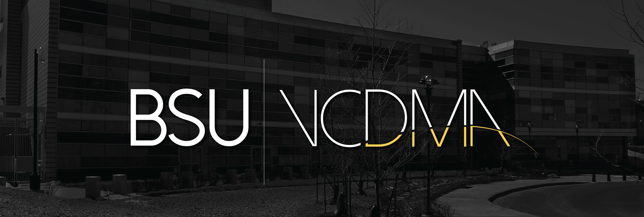 BSU VCDMA